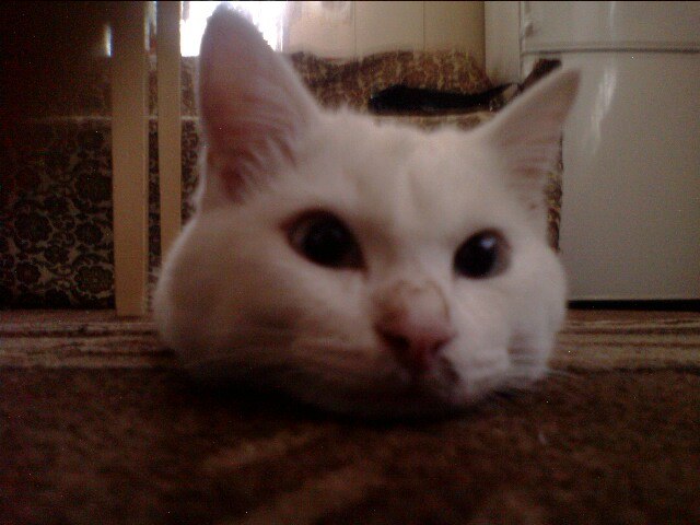 Юра Полищук фотография #5