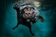 Фотография Пащенко Ирины