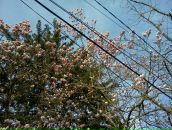 Антон Косачев фотография #30 (источник - https://vk.com/id614167)