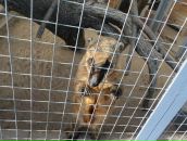 Фотография Красильникова Юленька