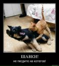 Фотография Надеина Максима