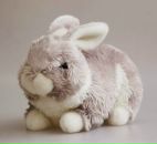 Фотография Петраковой Анастасии