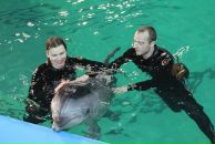 Фотография Плотниковой Юлии