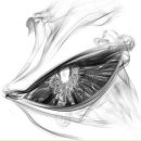 Фотография Малышева Евгения