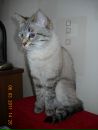 Фотография Котовой Натальи