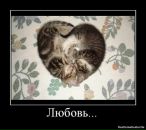 Ірка Вампірка фотография #41 (источник - https://vk.com/id87919947)