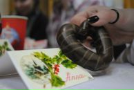 Фотография Заглядновой Анны