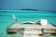 Фотография Платоновой Дарьи