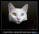 Фотография Шиловской Анастасии