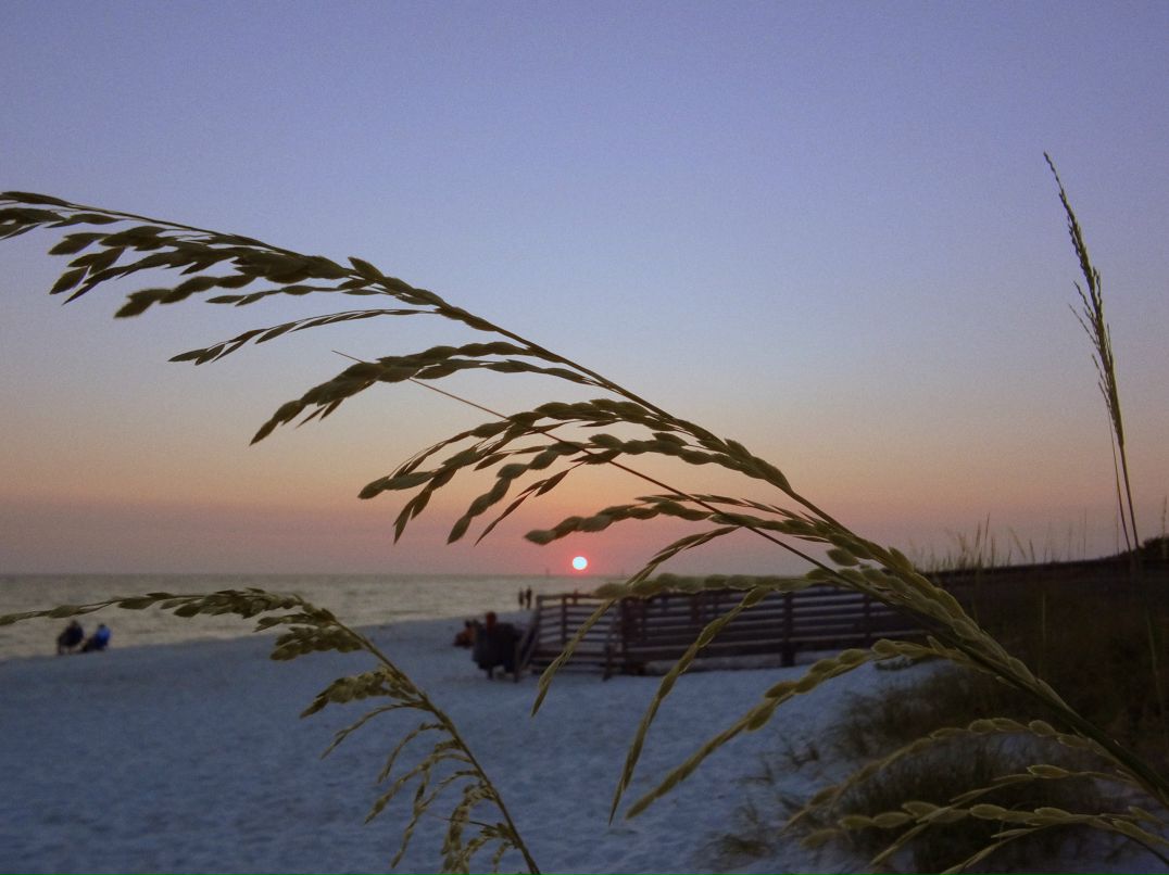 Сергей Юров фотография #8