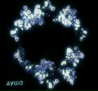 Фотография Андреева Александра