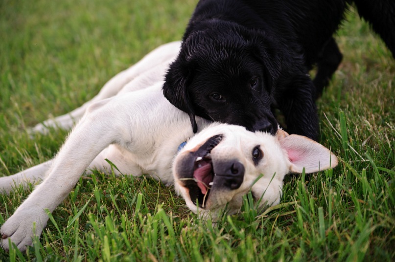 Max Bess фотография #19