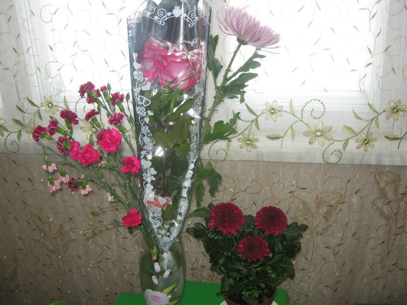 Анна Саенко фотография #38