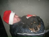 Фотография Васильева Григория