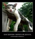 Фотография Фроликова Александра