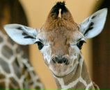 Фотография Ивкиной Марины