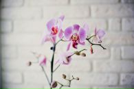 Фотография Синюхиной Екатерины