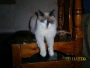 Фотография Дмитрий Новиков