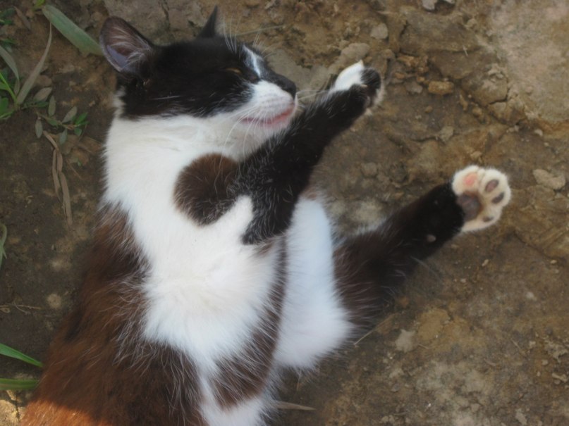 Наталья Гринёва фотография #16