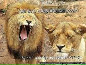 Фотография Симоновой Алии