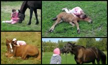 Фотография Кошелевой Екатерины