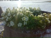 Фотография Виилмы Ольги