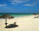 Фотография Терентьева Алексея