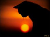 Фотография Лихачевой-Шмыковой Ирины