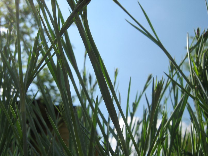 So Much фотография #46