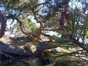 Дмитрий Крамарев фотография #46 (источник - https://vk.com/id274882)