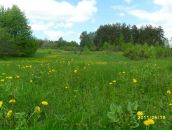 Фотография Гардиевич Марины