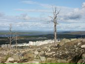 Фотография Карякиной-Чикиневой Марины