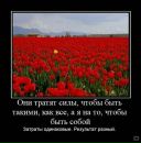 Фотография Мартынова Алексея