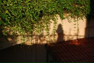 Анна Кузьмиченко фотография #25 (источник - https://vk.com/id1562229)