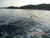 Андрій Кондур фотография #33 (источник - https://vk.com/id19103077)