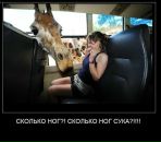 Фотография Беляева Ильи