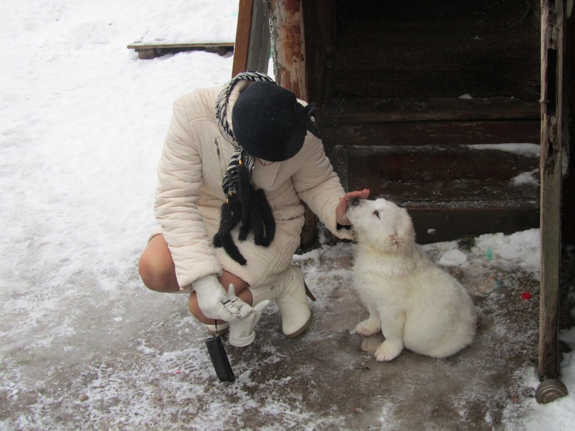 Василий Тихонов фотография #36