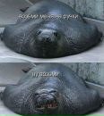 Фотография Божена Ивана