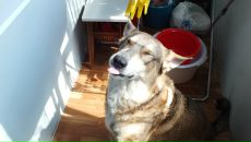 Фотография Маслова Александра