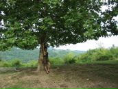 Фотография Приходько Юли