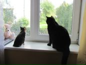 Любовь Духанова фотография #30 (источник - https://vk.com/id5068523)