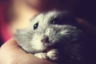 Фотография Фрид Анастасии