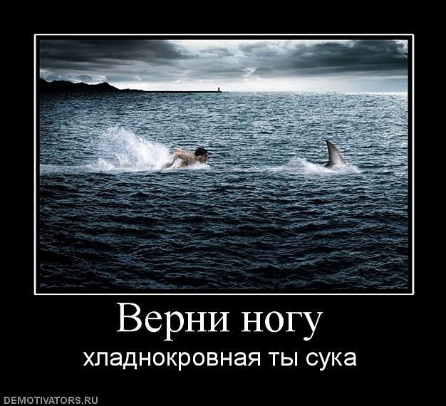 Леонид Субботин фотография #33