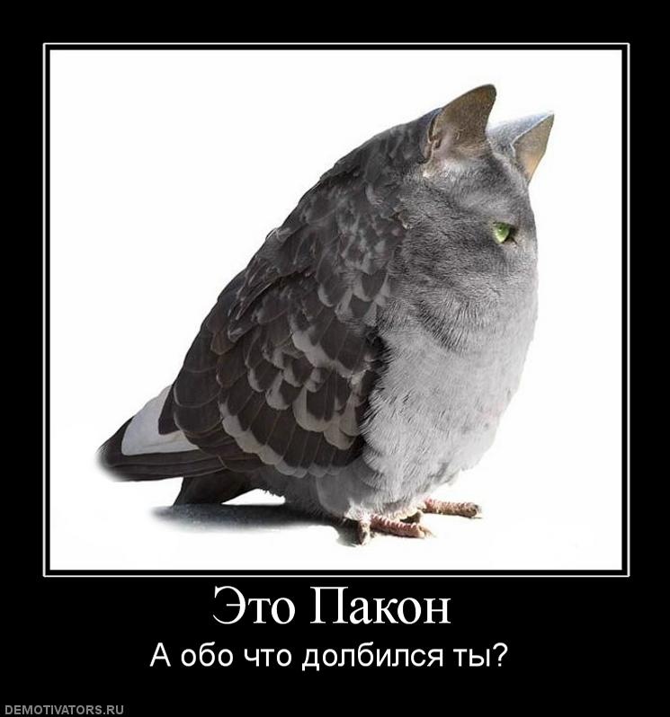 Dr Eik фотография #36