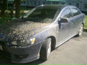 Фотография Комкова Сергея