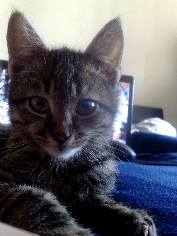 Ksenya Demchenko фотография #48