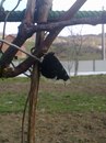 Наталі Муль фотография #40 (источник - https://vk.com/id155568744)