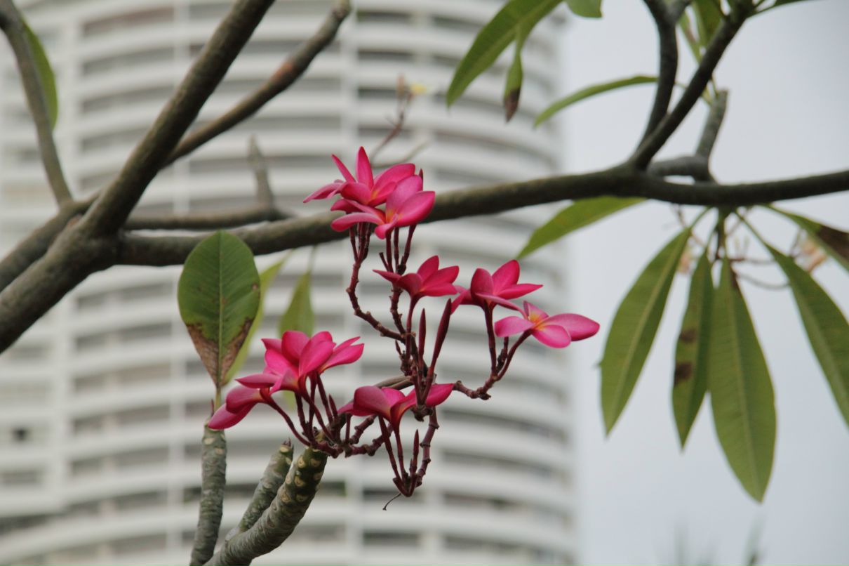 Дмитрий Симонов фотография #9