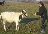 Фотография Гаптрахмановой Айгуль