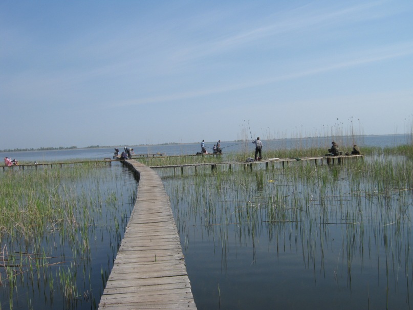 Игорь Бабаев фотография #39